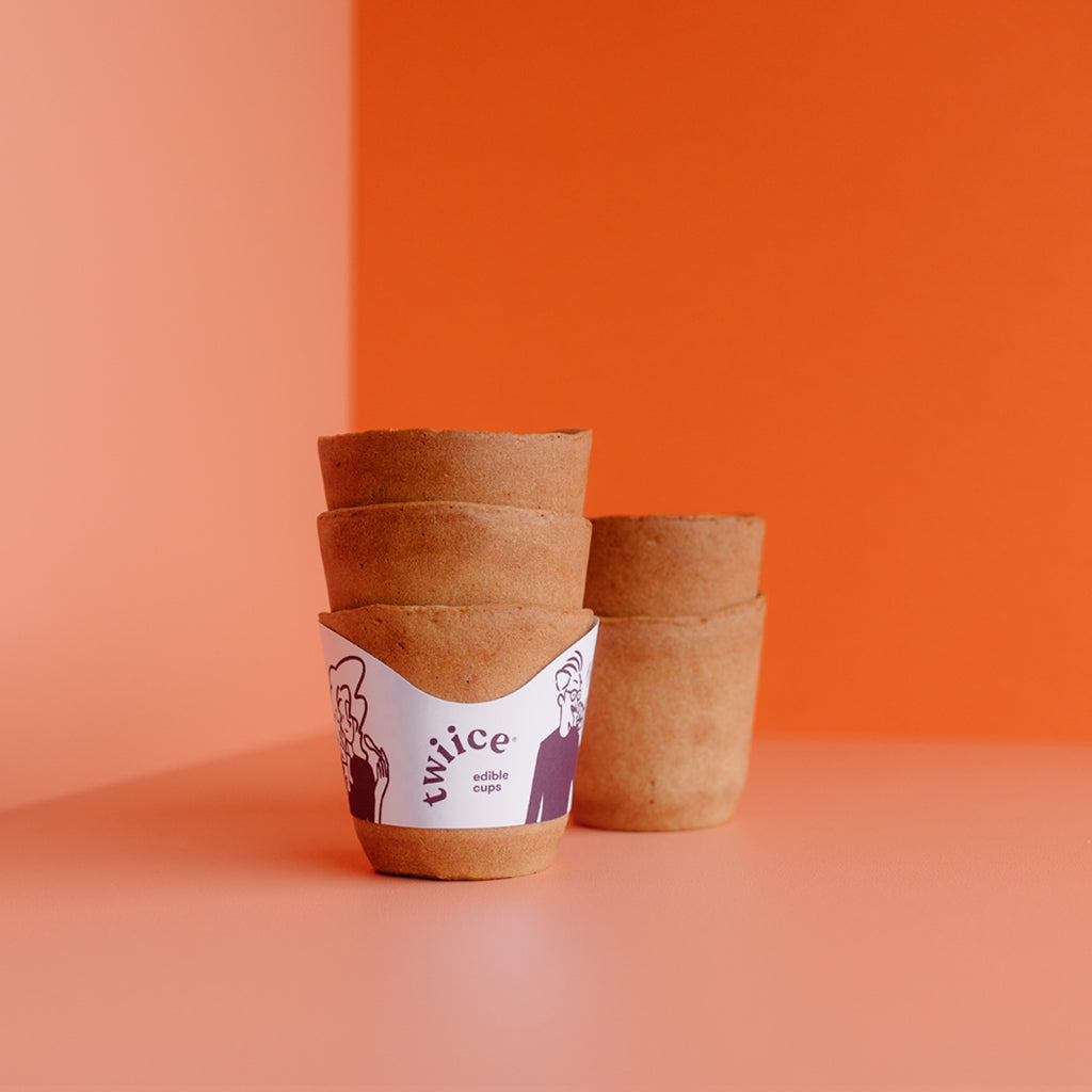 gingerbread twiice cups - LIMITED EDITION